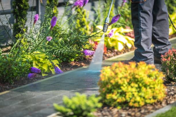 Best Driveway Cleaning and Restoration in Portage, WI
